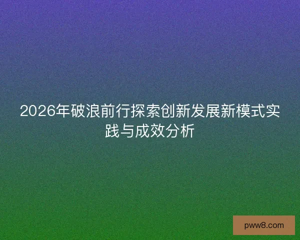 2026年破浪前行探索创新发展新模式实践与成效分析